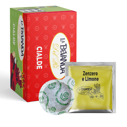 20 Cialde Infuso Zenzero e Limone